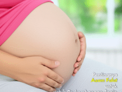 Pentingnya Asam Folat untuk Perkembangan Janin