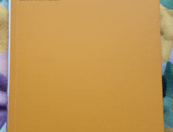 Teknik Dasar dan Peraturan Permainan Bola Voli untuk Anak-anak