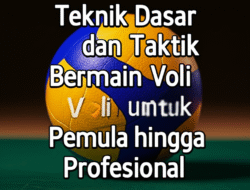 Teknik Dasar dan Taktik Bermain Voli untuk Pemula hingga Profesional