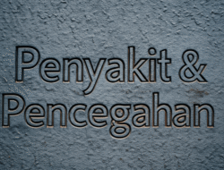 Penyakit & Pencegahan