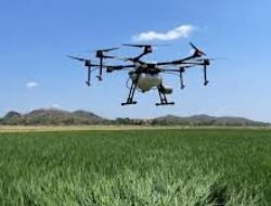 Smart Farming Technology: Cara Baru Tingkatkan Produksi Pertanian Modern