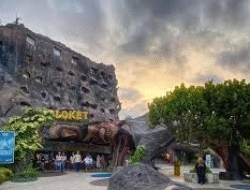 Penginapan Unik Capsule Hotel dan Rumah Pohon Viral di Media Sosial