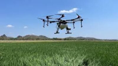 Smart Farming Technology: Cara Baru Tingkatkan Produksi Pertanian Modern