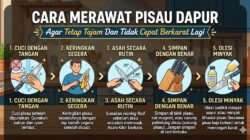 Cara Merawat Pisau Dapur Agar Tetap Tajam Dan Tidak Cepat Berkarat Lagi