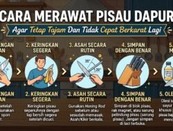 Cara Merawat Pisau Dapur Agar Tetap Tajam Dan Tidak Cepat Berkarat Lagi